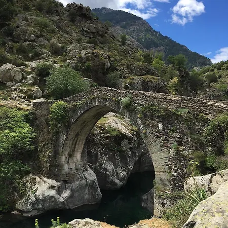 Bas De Avec Grande Terrasse Ferienhaus Piedigriggio